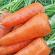 Hvilke varianter av gulrøtter er egnet for vinterlagring?