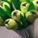 გოფრირებული ქაღალდისგან დამზადებული წვრილმანი ყვავილები: წარმოება და მუშაობის მაგალითები